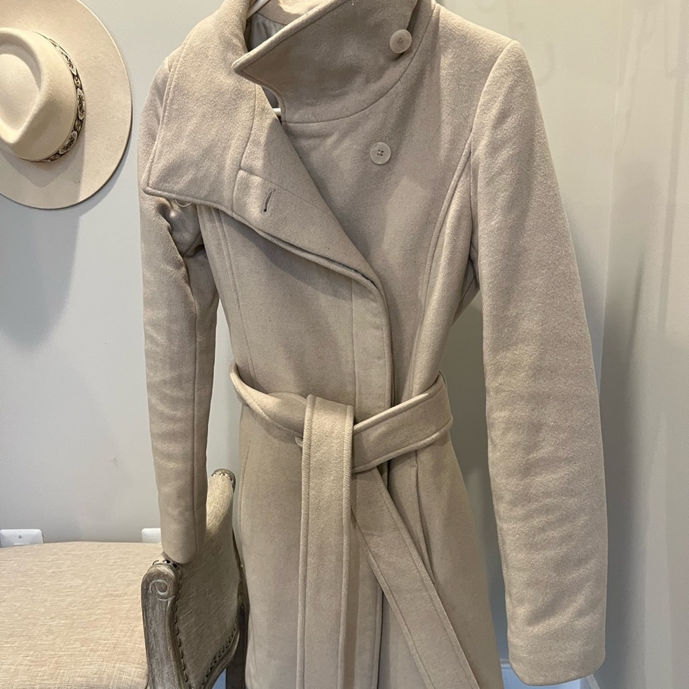 Aritzia Connor Peacoat